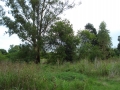 DSC03554