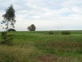 DSC03557
