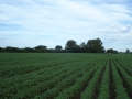 DSC03525