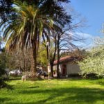 Alquilo Permanente Quinta Ruta 191 San Pedro.